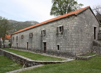 Sašu Jankovića za predsednika !!!