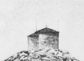 Maline – za bolji imunitet