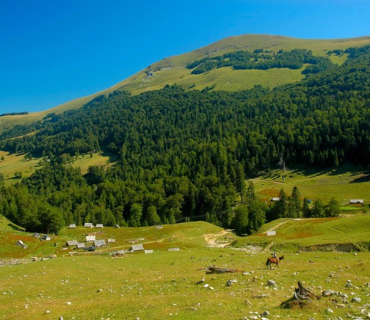 Danica Nikolić Nikolić: Ogledalu ne fali ništa