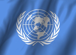 Bor – spas za disajne organe