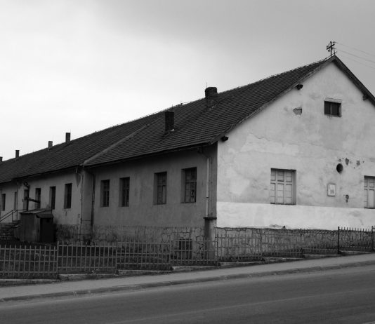 Pop Maca i devet pljevaljskih žena (15) – Ljubica Stojkanović