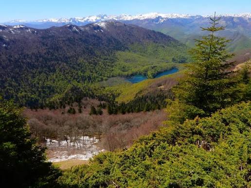 OBAVJEŠTENJE O UPOZNAVANJU JAVNOSTI SA ODLUKOM O IZRADI PROSTORNOG PLANA POSEBNE NAMJENE NACIONALNI PARK “BIOGRADSKA GORA”